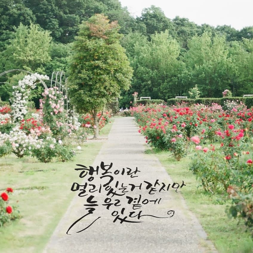 (임시타이틀)